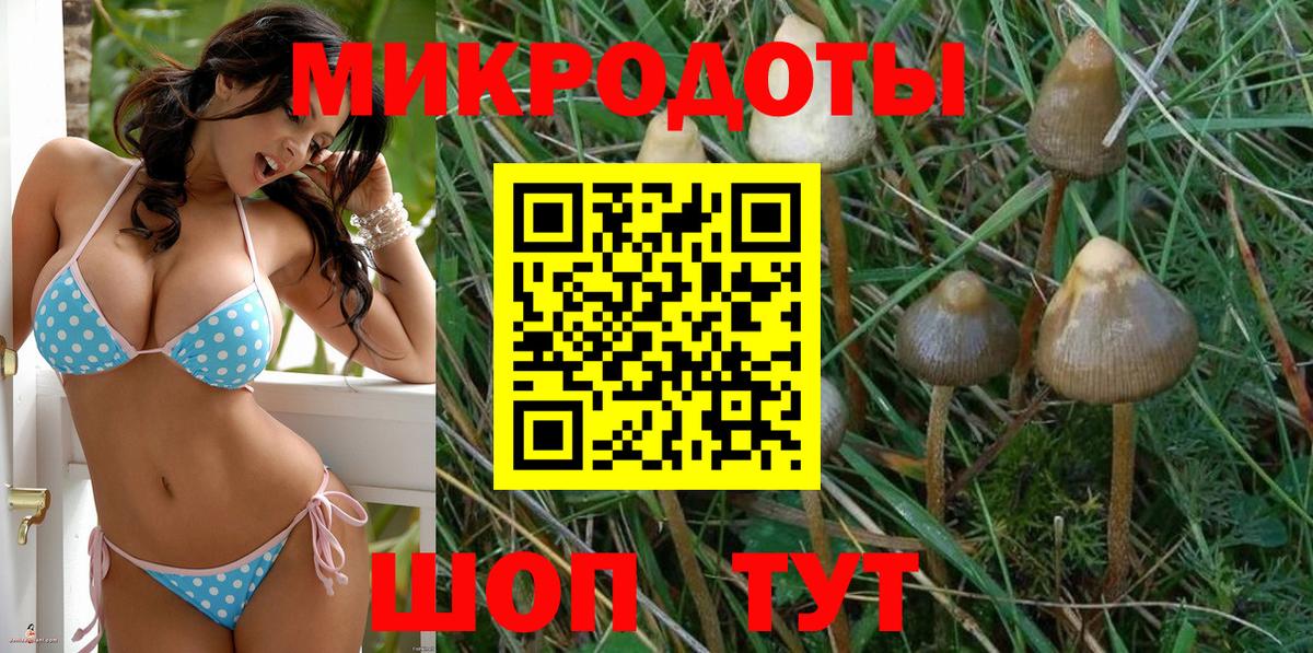Галлюциногенные грибы Psilocybe  как найти наркотики  Псилоцибиновые грибы мухоморы  Электрогорск  Вход с VPN 