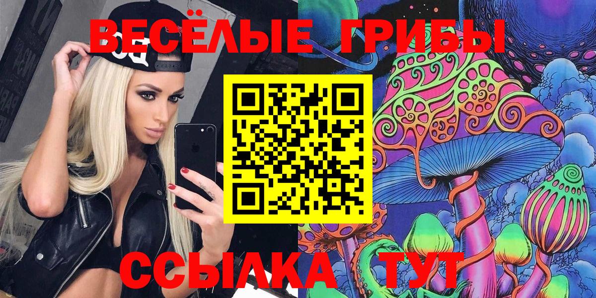 Псилоцибиновые грибы прущие грибы Электрогорск